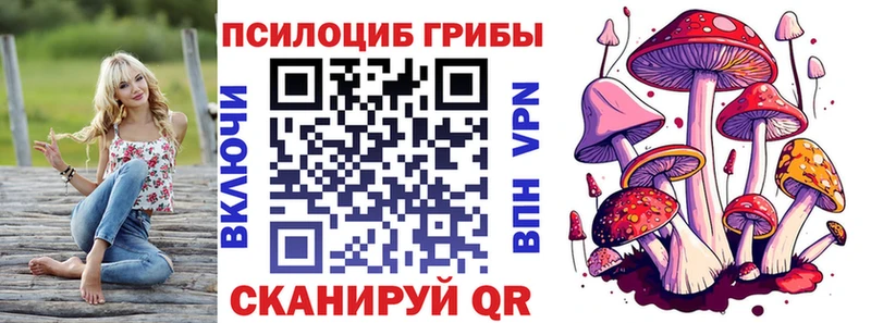 где продают Новая Ляля Псилоцибиновые грибы ЛСД